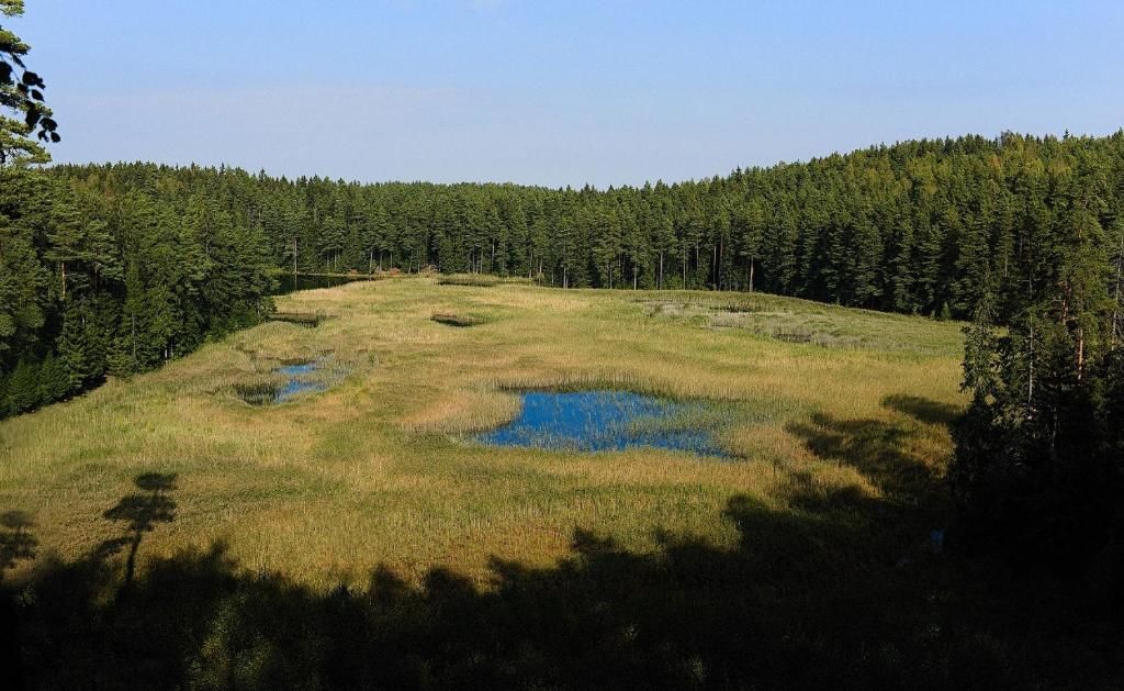 Апартаменты Vila Plokštinė Paplatelė